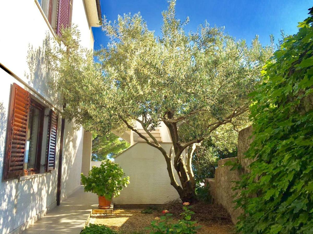 Apartment Martinovic Marusici  Εξωτερικό φωτογραφία