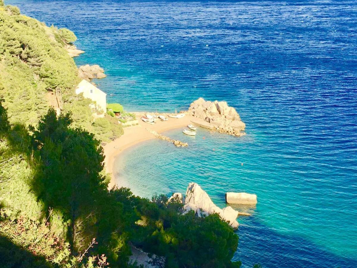 Apartment Martinovic Marusici  Εξωτερικό φωτογραφία