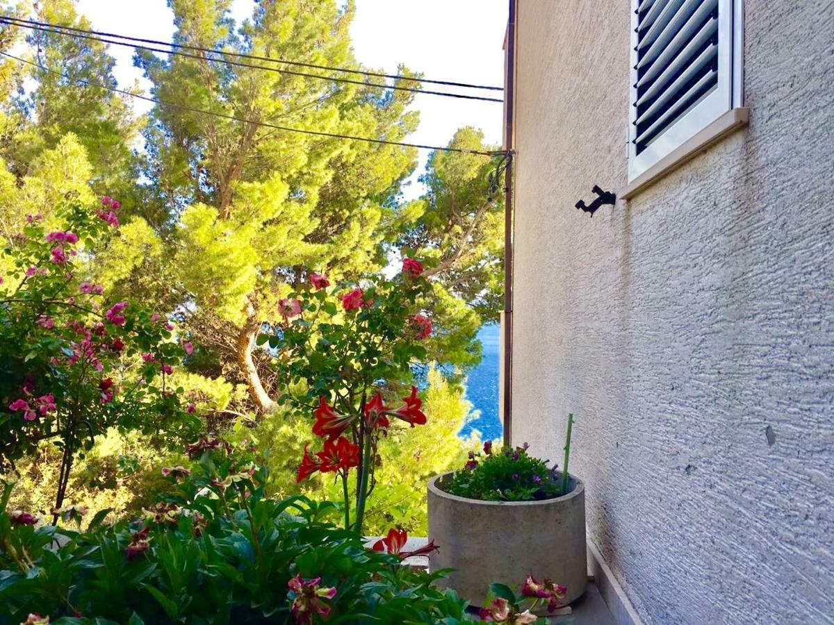 Apartment Martinovic Marusici  Εξωτερικό φωτογραφία